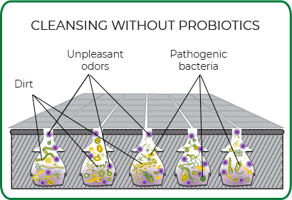 Oxisson without-probiotics